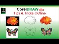 Corel draw 2020 outline tips and tricks tutorial by amjad graphics designer