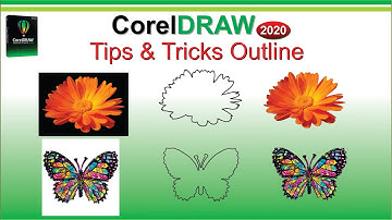 Corel Draw 2020 Outline Tips and Tricks tutorial by, Amjad Graphics Designer