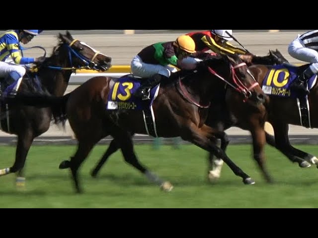 4K現地撮影】第80回優駿牝馬（オークス）（GⅠ）ラヴズオンリー