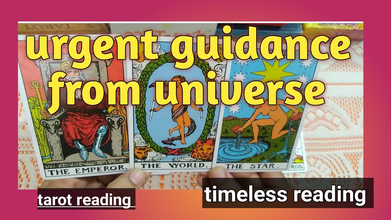 Urgent guidance from universe 🙏||timeless reading 🙏||