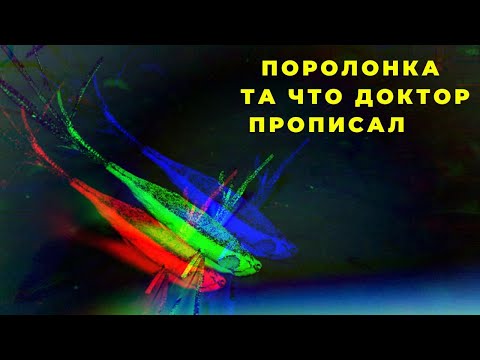 Видео: Рыбакам смотреть обязательно Поролонка по новой технологии