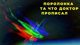 Рыбакам смотреть обязательно Поролонка по новой технологии