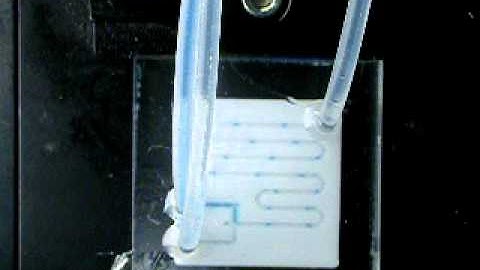 Nanotechnology Microfluidics