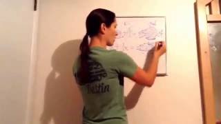 Saxon Math Algebra 1 - Lesson 26 - More Complicated Equations