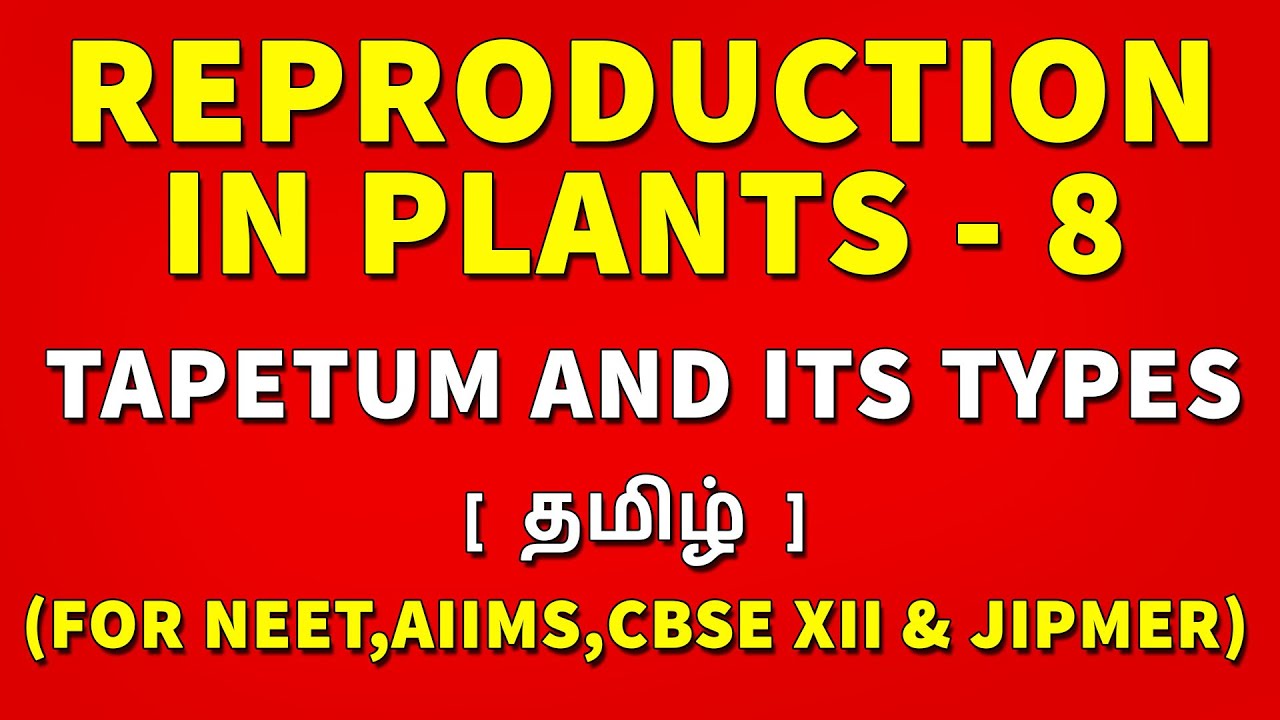 Tapetum and its Types in Tamil  | Reproduction in Plants  Tamil (8) - Rajus Biology