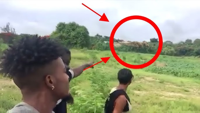 Incredible Encounter: Real Dinosaur Captured on Camera! 🦖