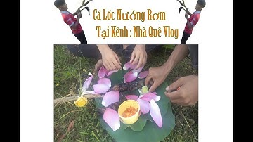 cá lóc nướng rơm |  cá lóc nướng trui - Ngon Lắm Mọi người ơi - nhà quê vlog
