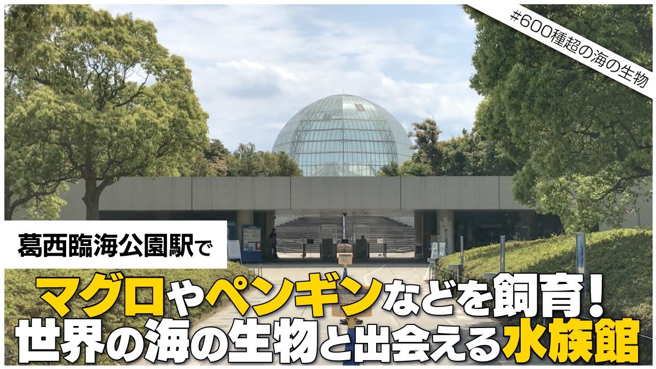 葛西 臨海 公園 から 葛西 駅