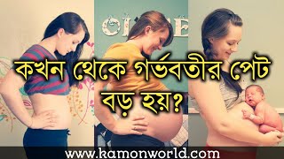 কখন থেকে গর্ভবতীর পেট বড় হয়? জানুন | belly size increasing during pregnancy bangla.