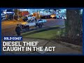 Diesel Thief Caught On Camera &amp; Chased Down | 10 News+