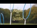 A Muggle's Guide to Quidditch