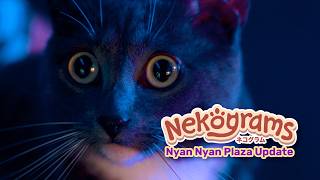 Nekograms - Nyan Nyan Plaza Update - Live-Action Trailer - Steam, Nintendo Switch