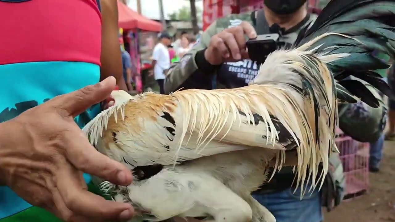 kanawayon day sa bocaue