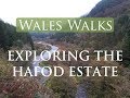 Wales Walks | Exploring the Hafod Estate