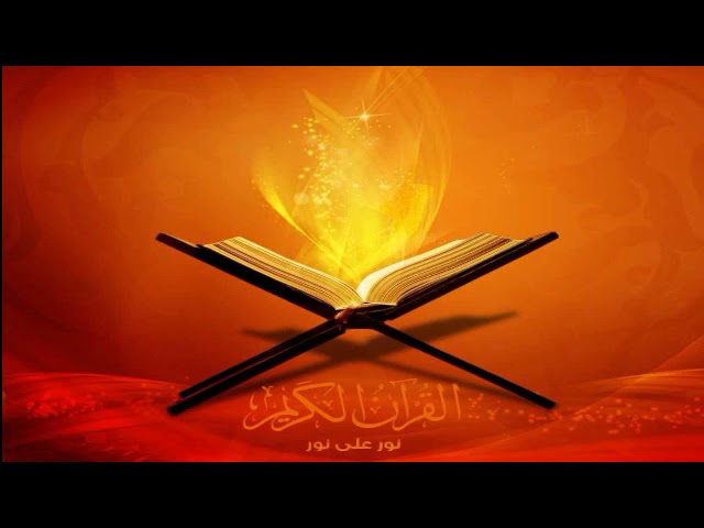 سورة الملك | بدر التركي