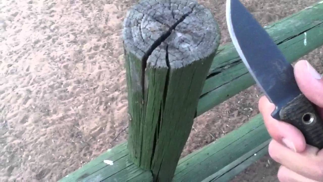 Swamp Rat Rodent Solution: Broken tip