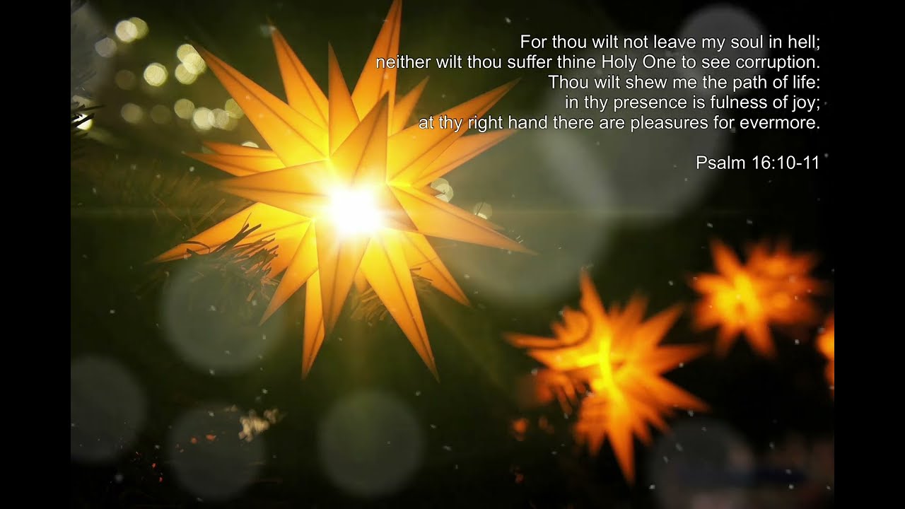 SNM47 / 詩編16編10-11節