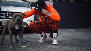 Donny Loc - Lil 2 A Lot [Shot By: @CozyByc] (Official Music Video) Wealth