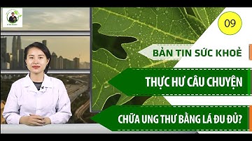 Hỗ trợ điều trị ung thư bằng lá đu đủ