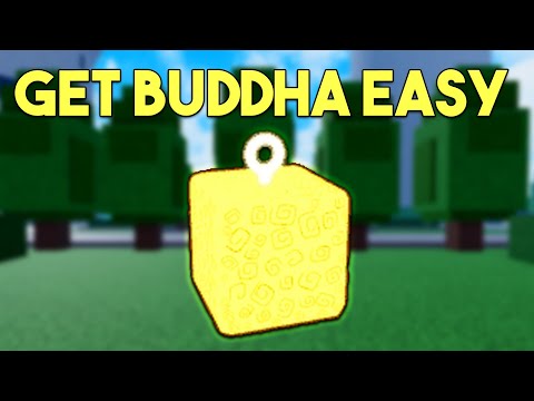 Finding Buddha Fruit With a LVL 1 ACC using FRUIT NOTIFIER