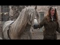 Highland ponies, where heritage meets heart! 💖 | RIDE presented by Longines