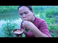 survival in the rainforest - Found snails & fish switch head cow - Eating delicious HD