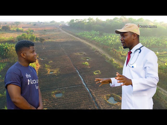 Unemployed Malawian Nurse Sold His $70 Phone u0026 Made $7000 From Farming! class=