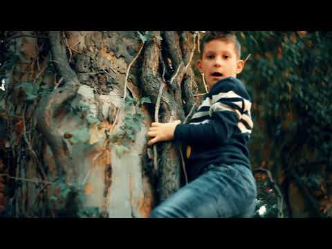 თბილის სიო