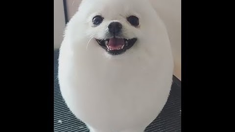 Java物件導向 重觀念迅速教學 (2) 封裝 Encapsulation 到底為何封裝? 為何使用Getter和Setter?