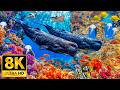 Majestic Blue Ocean Creatures in 8K HDR | Dolby Vision™