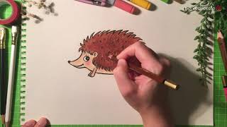 Kirpi Çizimi / How to Draw a Hedgehog