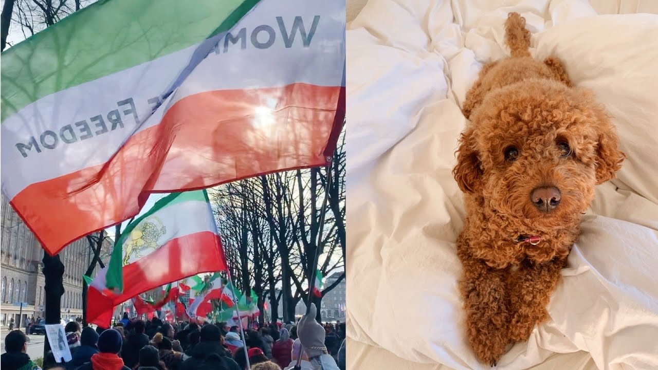 a weekend off work | snow in march, grocery shopping, iran protests ...