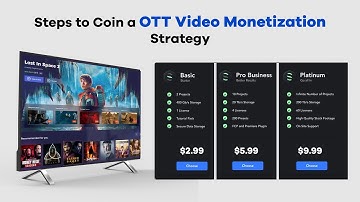 How to Devise the Best Video Monetization strategy?