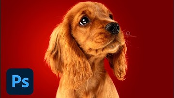 Use These Timesaving Tricks to Master Selections in Photoshop | Adobe MAX Sessions | Creative Cloud