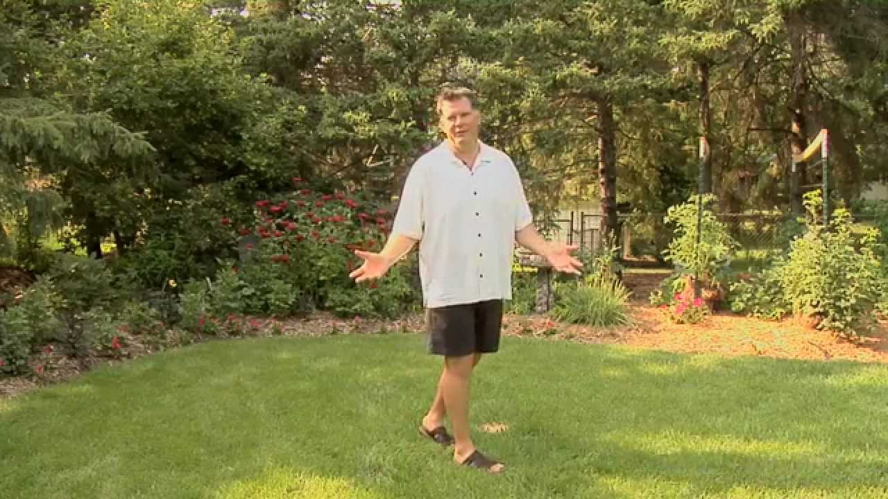 Living Smarter Testimonial - Joel Karsten