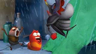 larva caught in the storm cartoon movie cartoons for children larva cartoon larva official