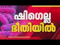 ഷിഗെല്ല ഭീതിയിൽ കേരളം; പ്രതിരോധ നടപടികളുമായി സർക്കാർ, വയനാട് ഇന്ന് ഉന്നതതല യോഗം
