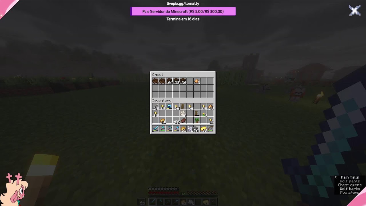 sei la parsa (java e bedrock)