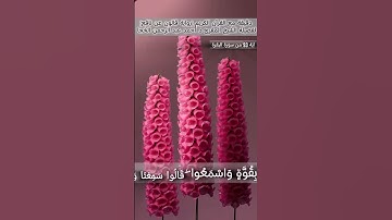 #تلاوة_خاشعة لفضيلة الشيخ المقرئ د. أحمد عبد الرحمن الخجا برواية قالون #اكسبلور #المصحف