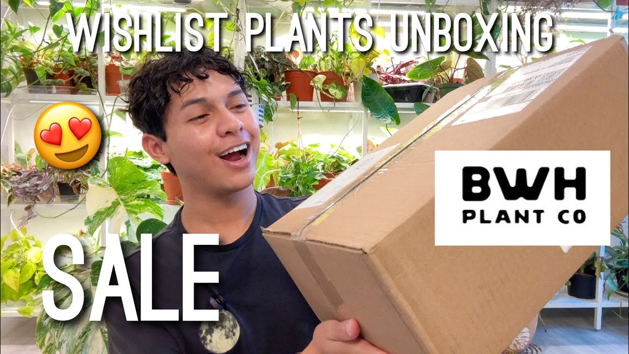 Unboxing Wishlist Plants from BWH! Massive Sale & Discount!