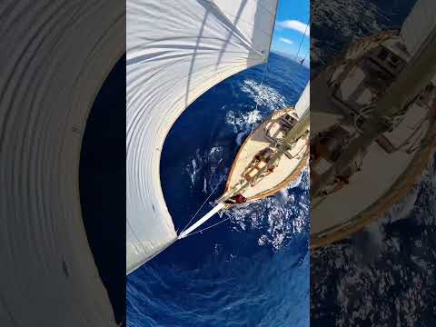 #adventure #sailinglife #whisky