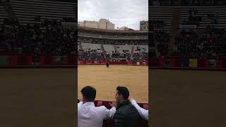 Toro Arena Valencia Spain #toro #arenavalencia #valencia #matador #boğagüreşi #spain #ispanya