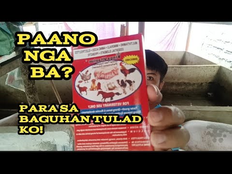 PARAAN SA PAG-ALAGA NANG MGA BABOY.