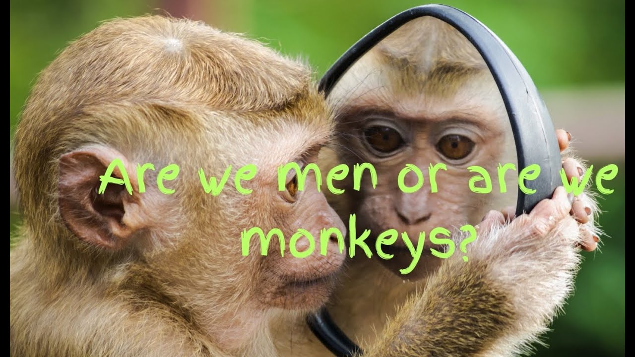 The Scopes Monkey Trial: The Battle Still Rages: Part 1