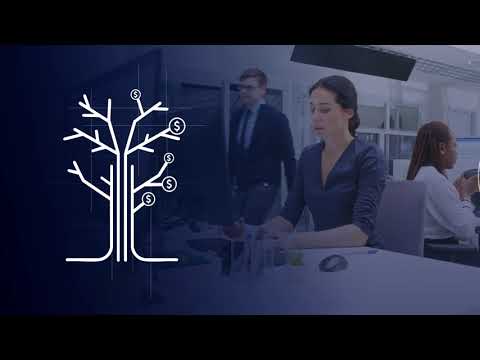 Virtual Account Manager