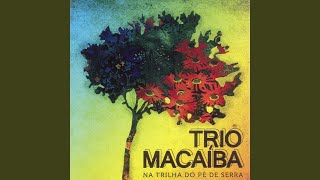 Video thumbnail of "Trio Macaíba - Na trilha do pé de serra"