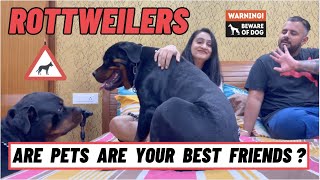 Beware Of Rottweiler Dogs: Bubzee Ko Kyu Aaya Namita Pe Gussa? Introducing New Husky Pet Roxy