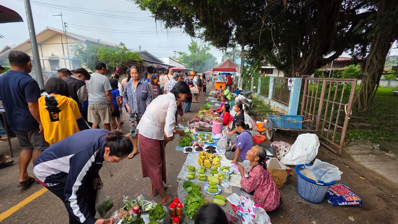 #ชนบทอีสาน ปีนี้เห็ดปลวกออกหลาย‼️ | ตลาดบ้านคำสมิง อำเภอตระการพืชผล อุบลราชธานี #food 