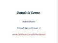 WPF DataGrid Demo