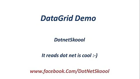 WPF DataGrid Demo